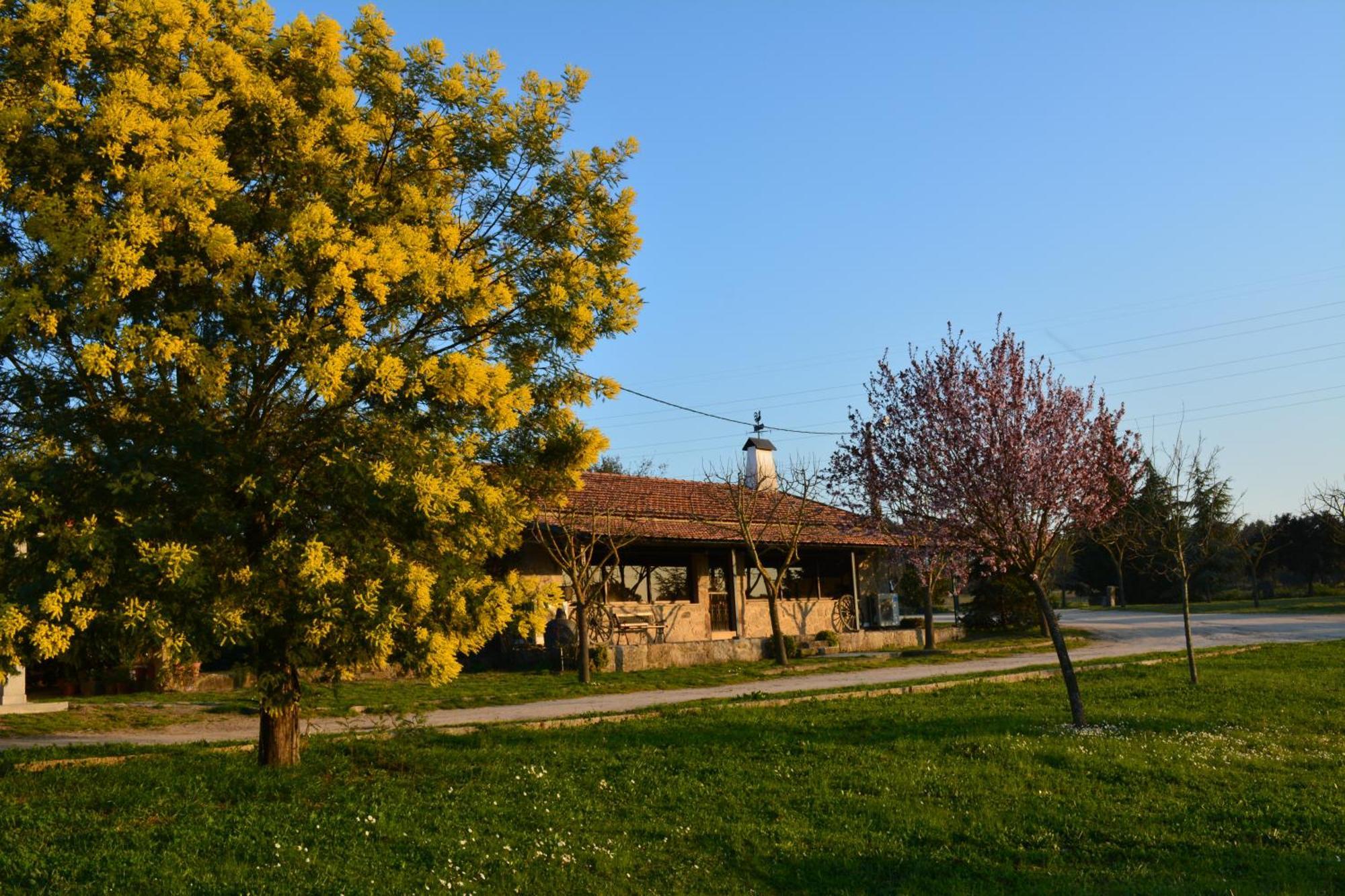Turismo Rural 4Quintas Minhocal Extérieur photo