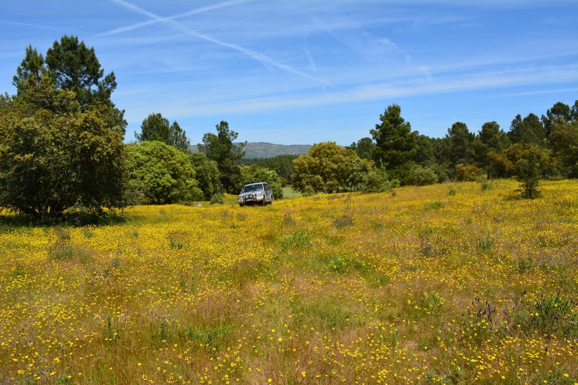 Turismo Rural 4Quintas Minhocal Extérieur photo